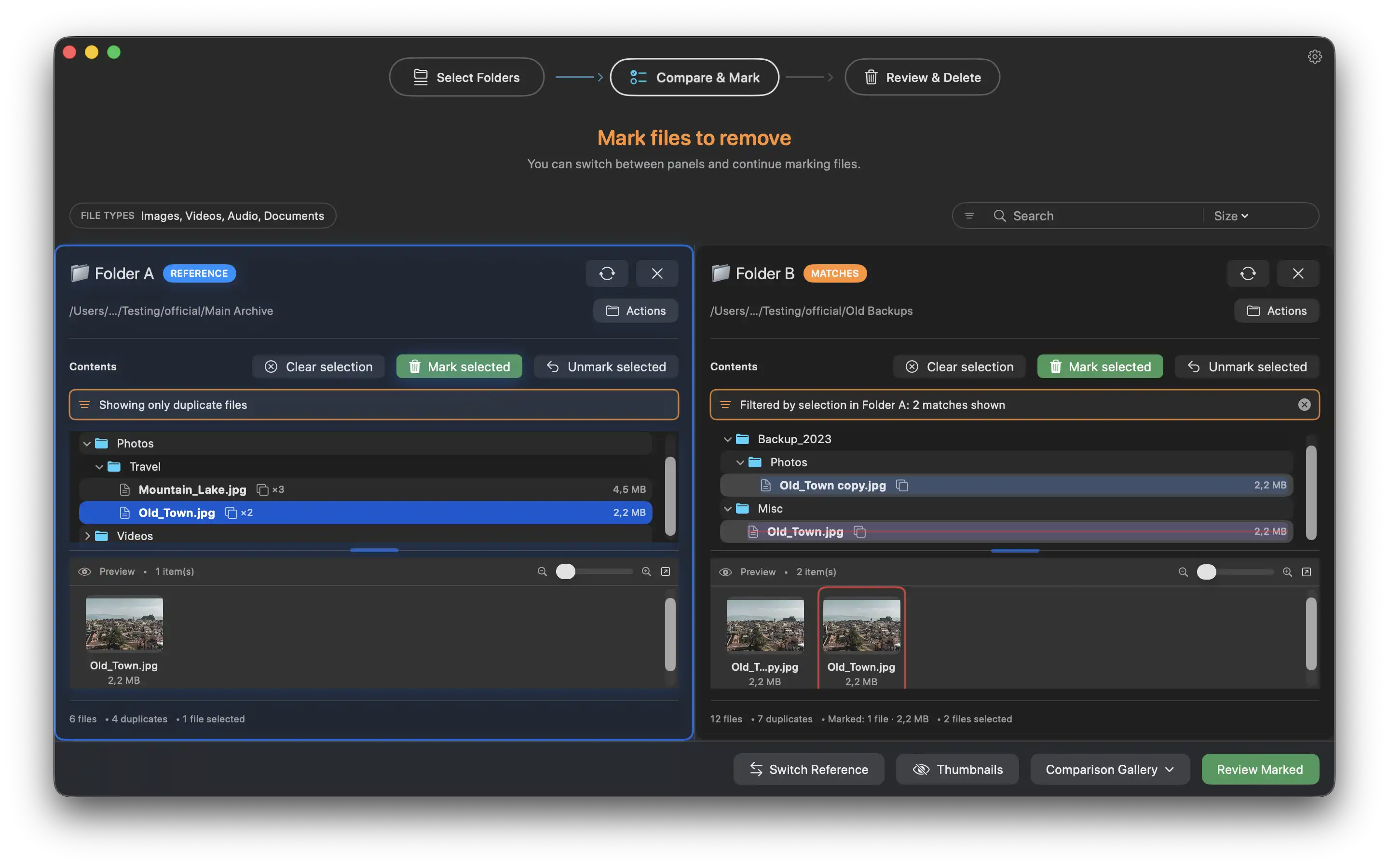 Duplicate Wizard dual-panel comparison with duplicates highlighted