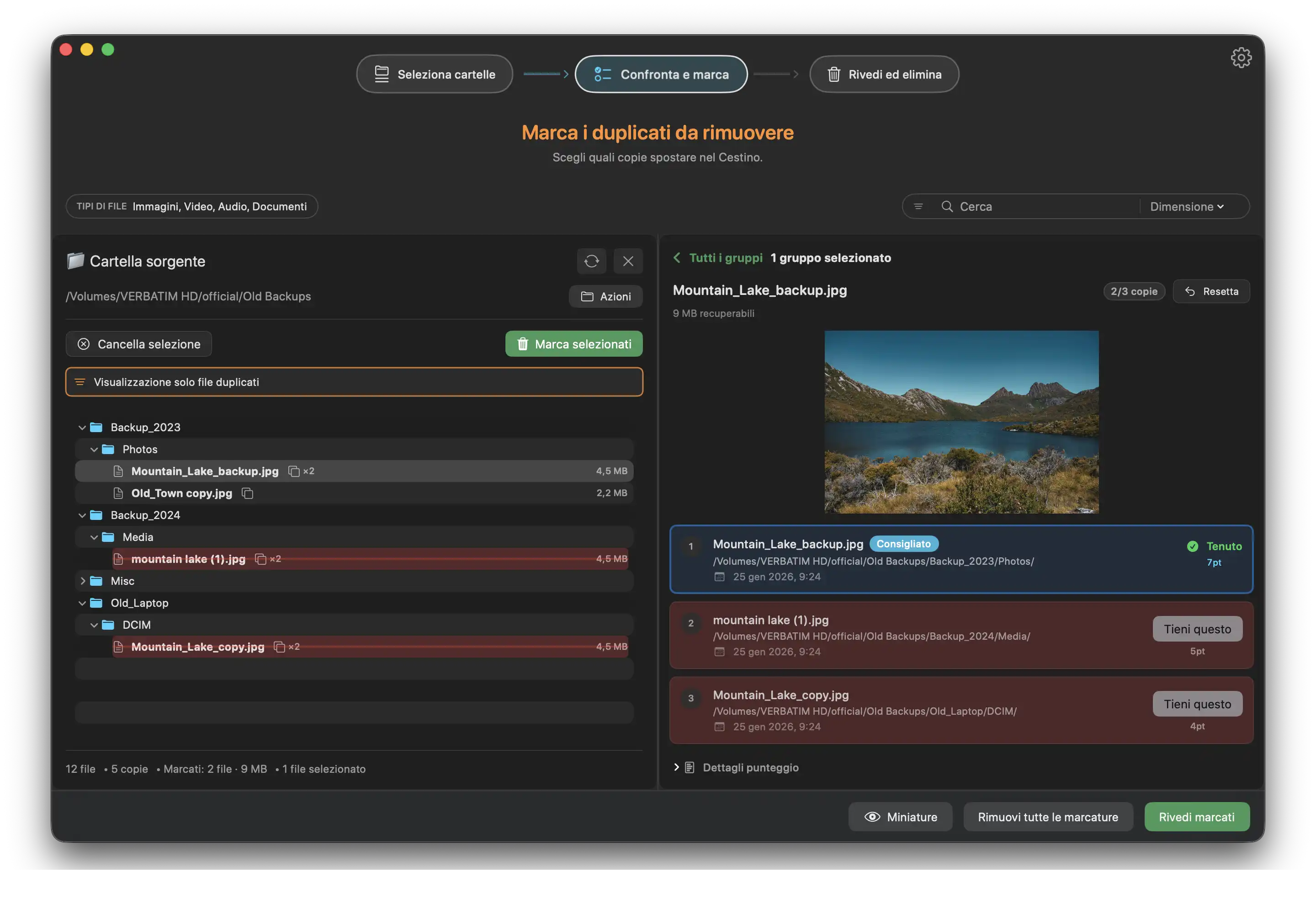 Duplicate Wizard dual panel